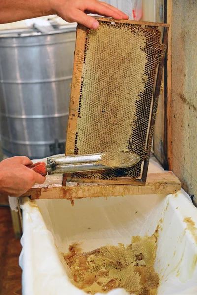 man removes wax from a honeycomb