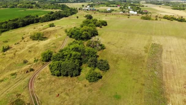 Herfst landschap met huizen uit de hoogte in Rusland — Stockvideo