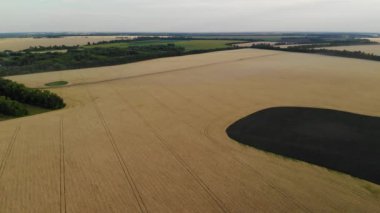 Orta Rusya, yana doğru hareket tarım alanları üzerinde uçan