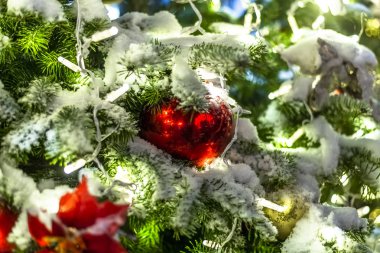 Moskova, Rusya sokakta güzel bir Noel ağacı parçası