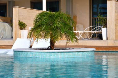 Güzel havuzu açık havada bir palmiye ağaçları ile