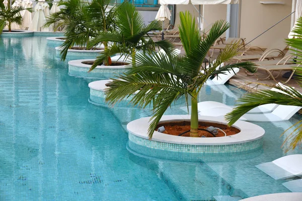 Uma bela piscina com palmeiras — Fotografia de Stock