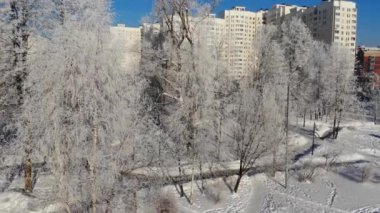 Kar kaplı Şehir Parkı kış ve Moskova, Rusya Federasyonu
