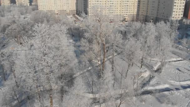 Volando sobre el parque de la ciudad en invierno y Moscú, Rusia — Vídeo de stock