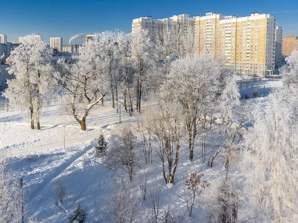 Karla kaplı Şehir Parkı yukarıdan bakış. Moscow, Rusya Federasyonu — Stok fotoğraf