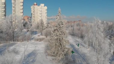 Karla kaplı şehir parkı görünümünü güneşli. Moscow, Rusya Federasyonu