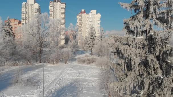 Vista del parque de la ciudad cubierto de nieve en el día soleado. Moscú, Rusia — Vídeos de Stock