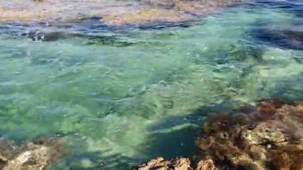 Olas mediterráneas golpeando contra las rocas. Costa de la isla de Chipre — Vídeos de Stock