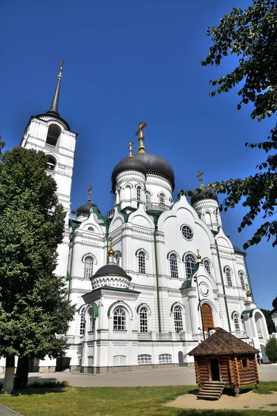 Annunciation Cathedral on Revolution Avenue in summer in Voronezh, Russia