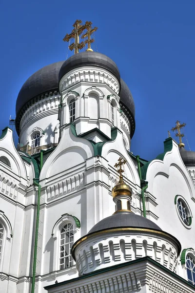 Voronej, Rusya'da devrim caddesindeki duyuru katedral kubbe — Stok fotoğraf