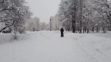 Moskova, Rusya -Şubat 13. 2019. anne ile bebek arabasından bir kar yağışı sırasında Şehir Parkı içinde yürüyor