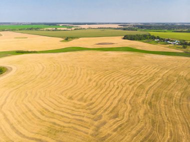 Yontlu tahıllar ile bir alanda üst görünümü