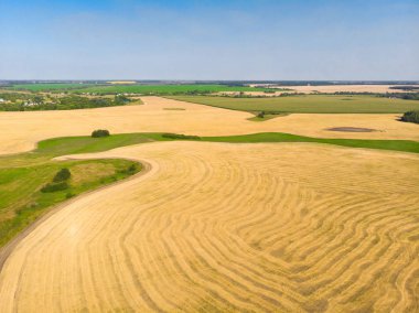 Yontlu tahıllar ile bir alanda üst görünümü