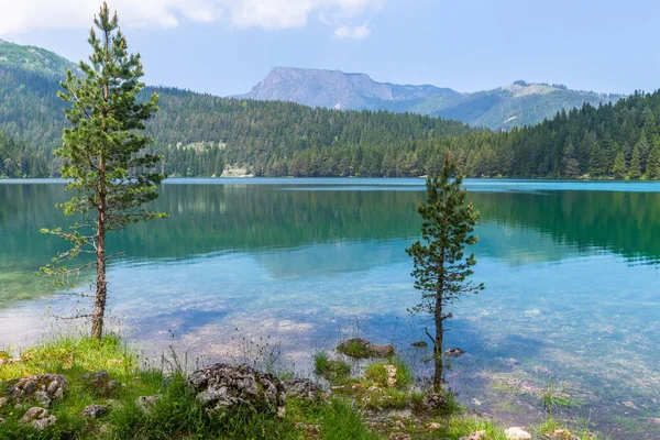 몬테네그로, Durmitor 국립 공원, 블랙 호수 — 스톡 사진