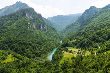Karadağ 'ın Durmitor kentindeki dağlar ve Tara nehir kanyonu