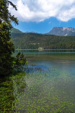 Karadağ, Durmitor Park'ta Kara Göl
