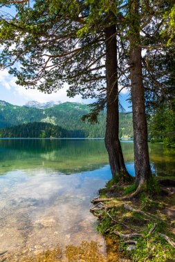 Karadağ, Durmitor Park'ta Kara Göl