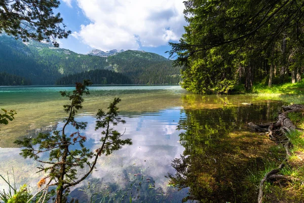 Černá Hora, Černé jezero v Durmitského parku — Stock fotografie