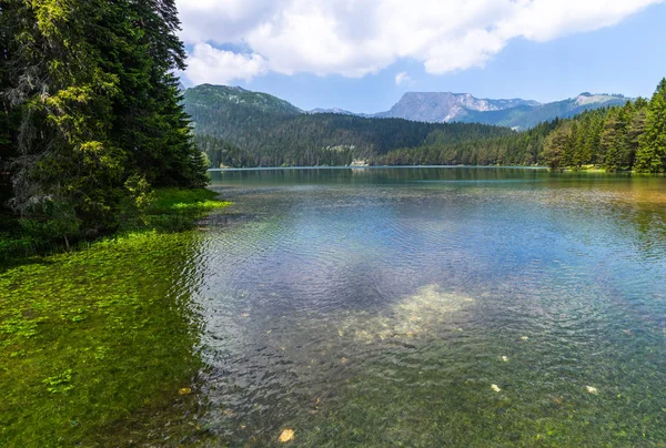Montenegro, Danau Hitam di Taman Durmitor — Stok Foto