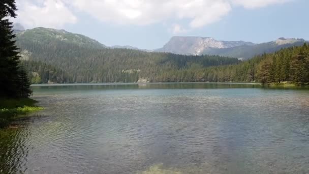 Montenegro, schwarzer See in einem Durmitor-Park — Stockvideo