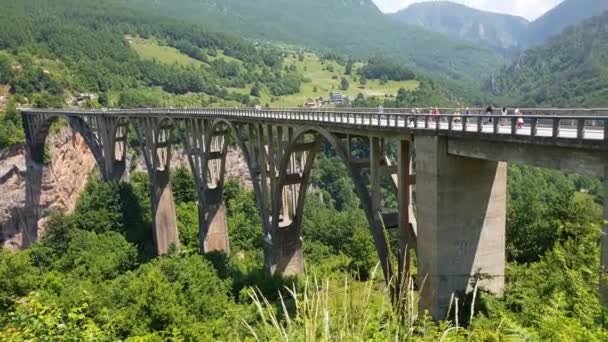 Plevlya, Černá Hora - 11. června. 2019. Džúdževičův most přes řeku Taru — Stock video