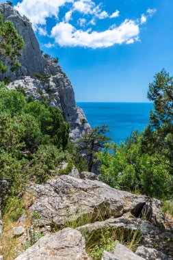 Kırım'da Karadeniz ile Bir Kedi Dağı'nda Manzara