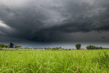 Yaz kırsal manzarası gök gürültülü bir bulutla