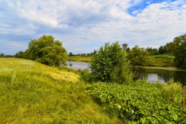 Kırsal bir nehir ile Manzara. Yaz