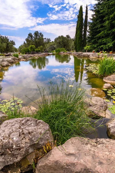 Fragment eines schönen Gartens mit einem künstlichen Teich im Sommer — Stockfoto