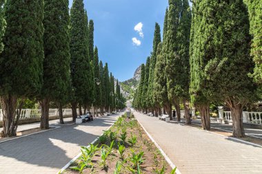 Simeiz, Kırım - 1 Temmuz 2019. Lenin Caddesi'ndeki Ünlü Selvi Sokağı
