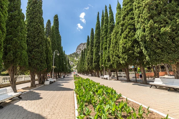 Simeiz, Crimeia - 1 de julho de 2019. Famoso cipreste beco na Lenin Street — Fotografia de Stock