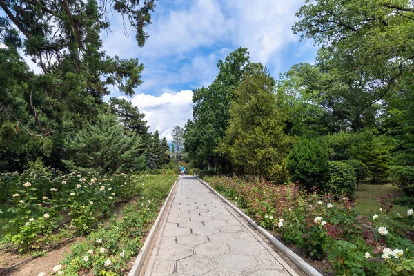 Livadia Crimea Juli 2019 Park Auf Dem Gebiet Des Livadia — Stockfoto
