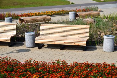 Moskova, Rusya 'da bir şehir parkında güzel ahşap banklar.