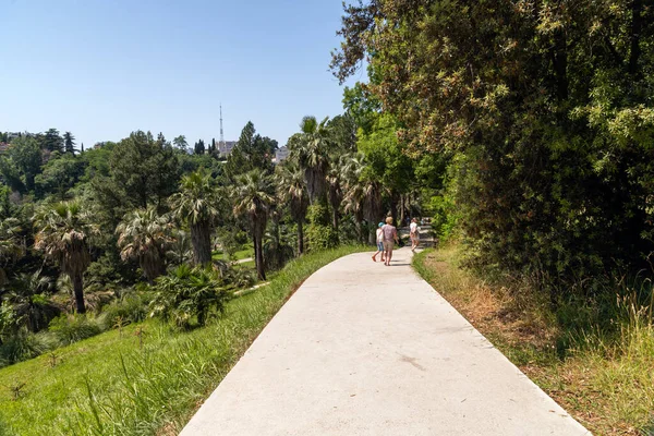 Fragmento Arboreto Com Caminho Sochi Rússia — Fotografia de Stock