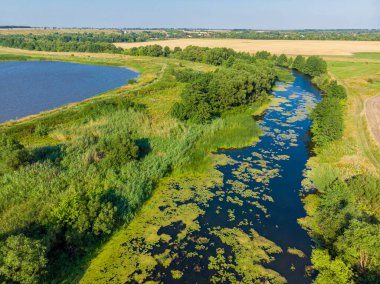 Nehir ve hava manzaralı güzel bir kırsal alan. Rusya