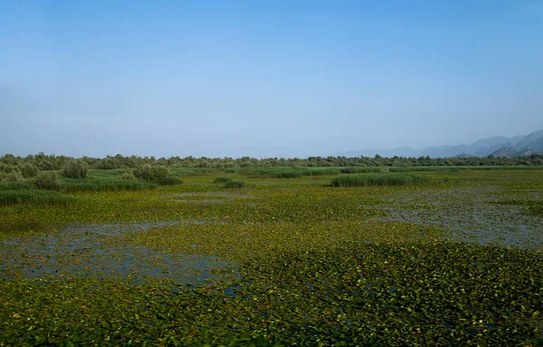 Lago Skadar Parque Nacional Montenegro — Fotografia de Stock