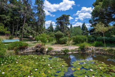 Kırım 'ın güzel doğası. Parkta nilüferlerle dolu bir gölet.