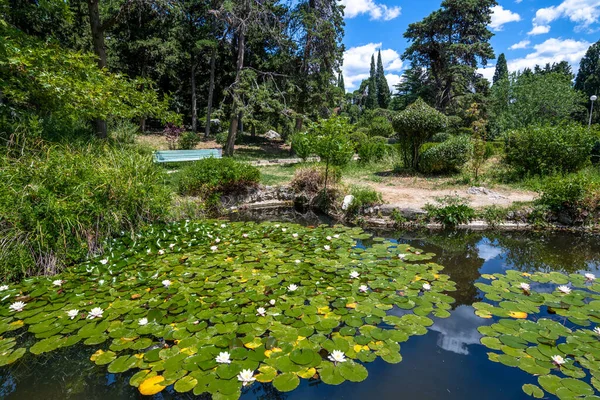 Naturaleza Hermosa Crimea Estanque Con Las Azucenas Parque — Foto de Stock