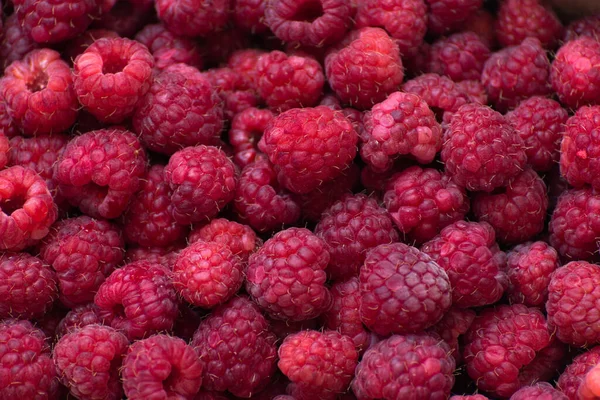 Mooie Achtergrond Van Rijpe Grote Frambozen — Stockfoto