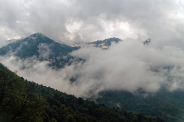 Kafkas Dağları 'nda yaz manzarası