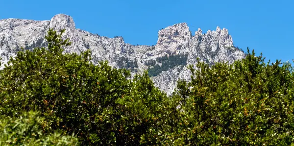 Πολεμίστρες του βουνού Ai-Petri στο φόντο των κορυφών των δέντρων, Κριμαία — Φωτογραφία Αρχείου