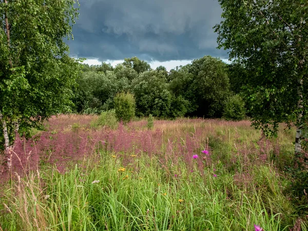 Vackert sommarlandskap i molnigt väder i Ryssland — Stockfoto