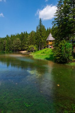 Zabljak, Karadağ - 14 Haziran. 2019. Durmitor Park 'taki Kara Göl