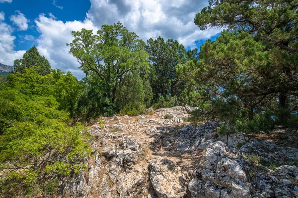 Όμορφο Φυσικό Τοπίο Ένα Βουνό Koshka Ένα Ορόσημο Στην Κριμαία — Φωτογραφία Αρχείου