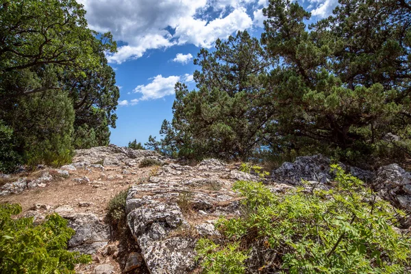 Kırım Bir Simgesi Olan Koshka Dağı Ndaki Güzel Doğal Manzara — Stok fotoğraf