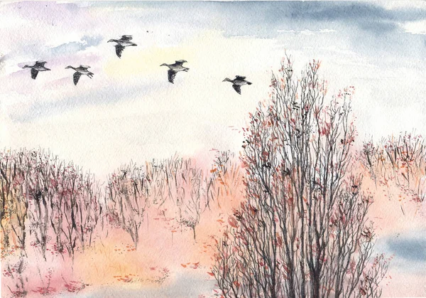 Akvarell Bläck Höstlandskap Med Flygande Flock Fåglar Och Kala Träden — Stockfoto