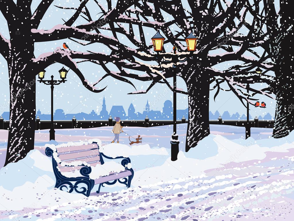 Vector winter landscape with snowy park in the evening