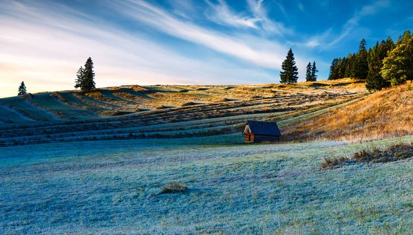 Terraced Fields Tree Royalty Free Stock Photos