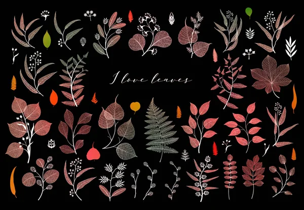 Zweige Und Blätter Herbst Frühling Sommer Botanische Illustration Leuchtend Bunt — Stockfoto