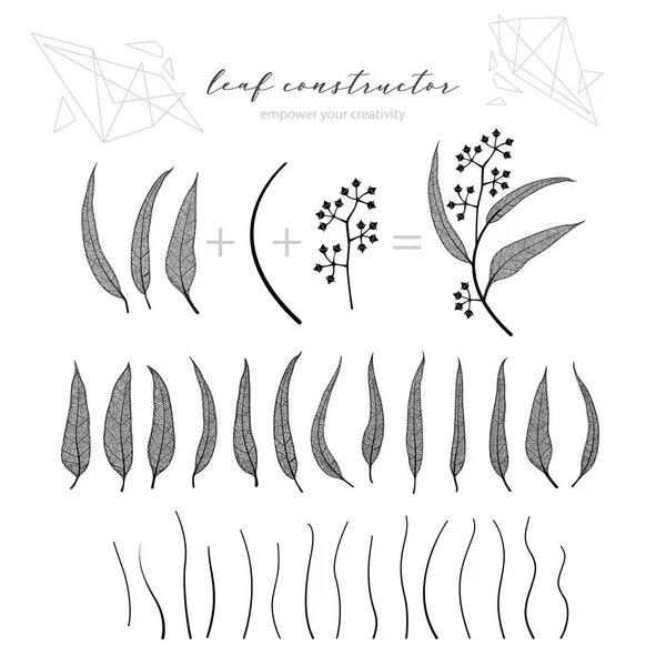 Conjunto de hojas de eucalipto, rama y flores, otoño, primavera, verano. Ilustración detallada de la vena vectorial, no autotrace, diseño del constructor — Vector de stock